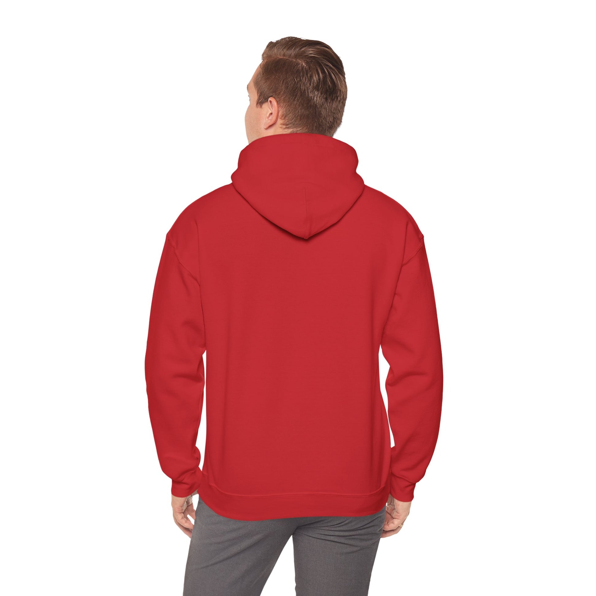 Aviation love hoodie