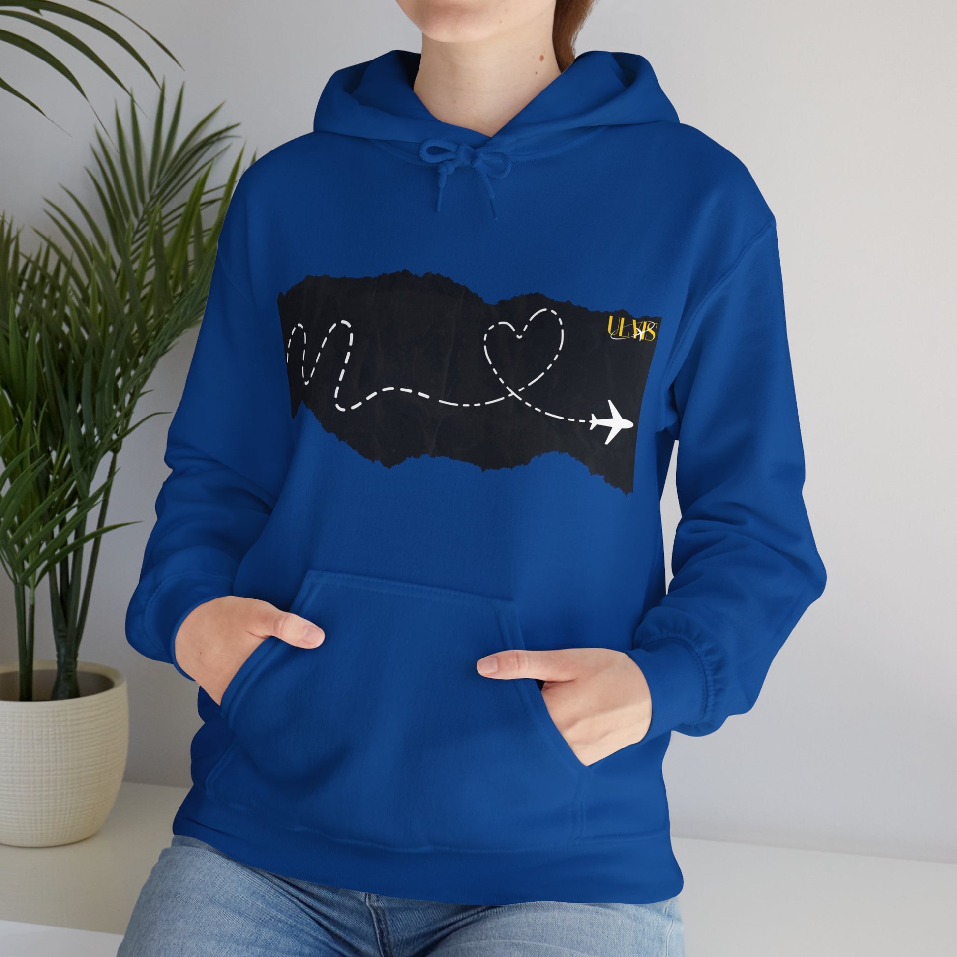 Aviation love hoodie